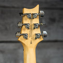 PRS SE Swamp Ash Special Iri Blue