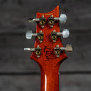 PRS Special Semi-Hollow 22