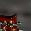 PRS Special Semi-Hollow 22