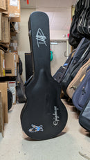 Epiphone Dave Grohl DG-335