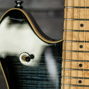 Peavey HP-2