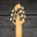 Peavey HP-2