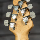 Peavey HP-2