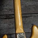 Peavey T40