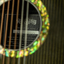 Rainsong PGA-1000
