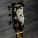 Rainsong PGA-1000