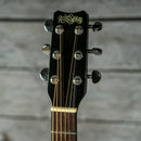 Rainsong PGA-1000