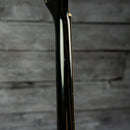 Rainsong PGA-1000