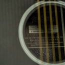 Rainsong S-DR1000