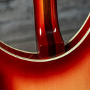 Rickenbacker 360/12V64