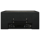 Synergy SYN-20IR 1x12” Combo Amp
