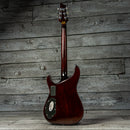 Schecter C-1 E/A