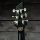 Schecter C-1 Platinum