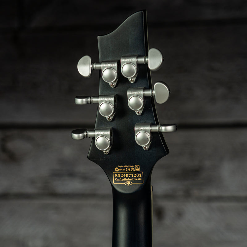 Schecter C-1 Platinum