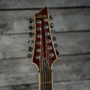 Schecter Diamond Series C/SH-12