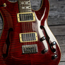 Schecter Diamond Series C/SH-12