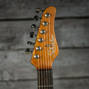 Schecter Diamond Series Nick Johnston