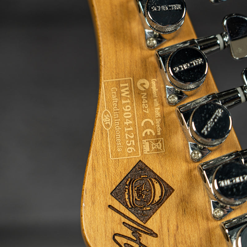 Schecter Diamond Series Nick Johnston