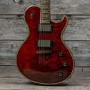 Schecter Hellraiser Diamond Series Special Solo-6