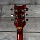 Schecter Hellraiser Diamond Series Special Solo-6