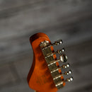 Schecter PT Special