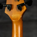 Schecter Riot 5 Session