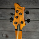 Schecter Riot 5 Session
