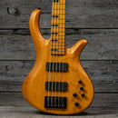 Schecter Riot 5 Session