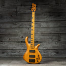 Schecter Riot 5 Session