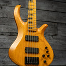 Schecter Riot 5 Session