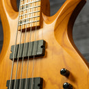 Schecter Riot 5 Session
