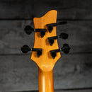 Schecter Riot 5 Session