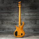Schecter Riot 5 Session