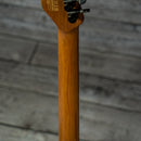 Schecter Traditional Pro