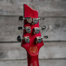 Schecter V-1 Custom