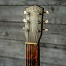 Silvertone Lapsteel