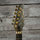Sire Larry Carlton X10