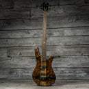 Spector NS Ethos 4 - Super Faded Black Gloss