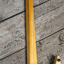 Strandberg Boden Prog NX 6