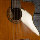 Takamine CD132SC