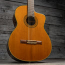 Takamine CD132SC