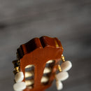 Takamine CD132SC