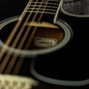 Takamine EF381DX