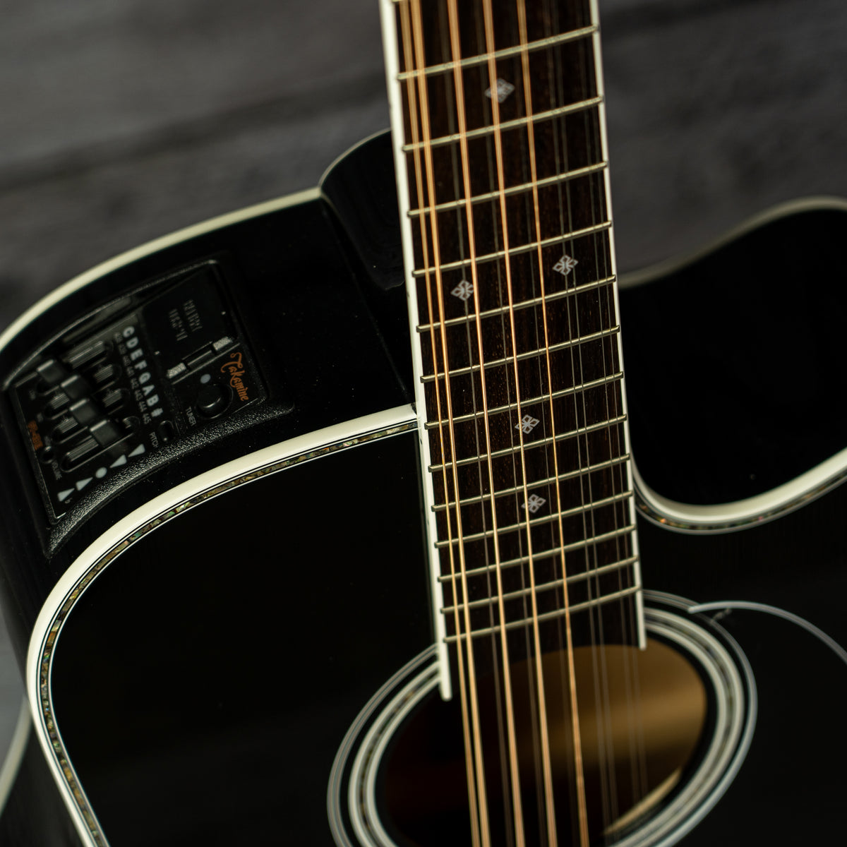 Taku  Takamine EF381DX (USED)