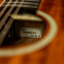 Takamine EF407