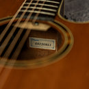Takamine ETN40C