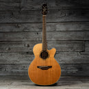 Takamine ETN40C