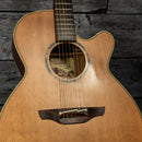 Takamine ETN40C
