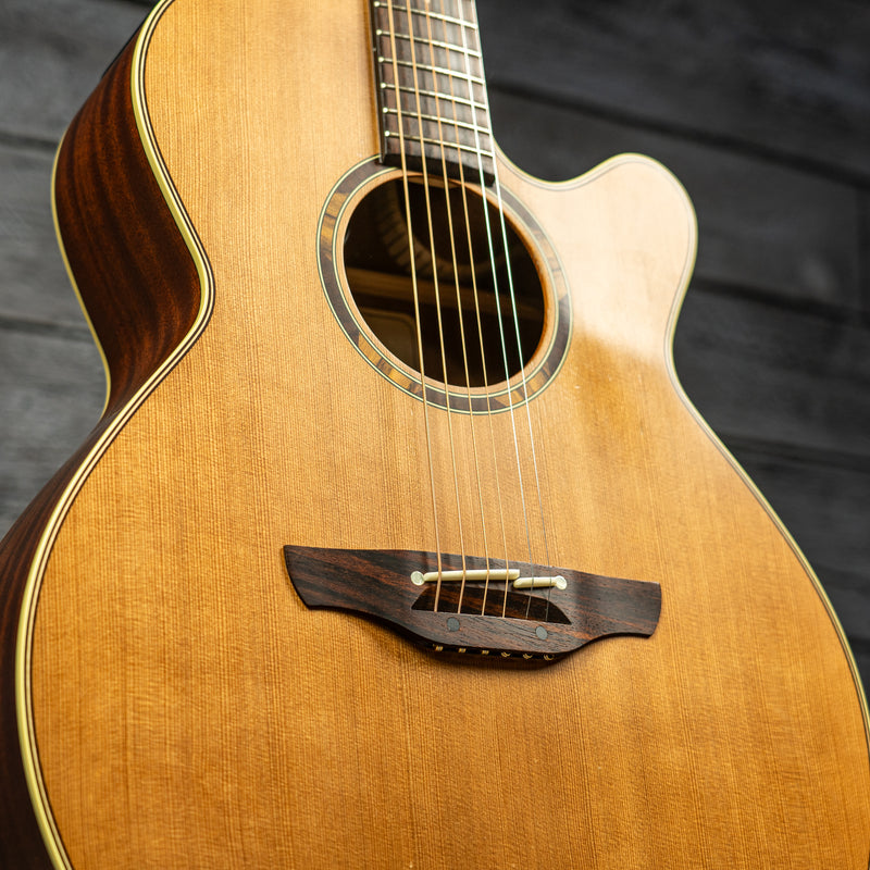 Takamine ETN40C