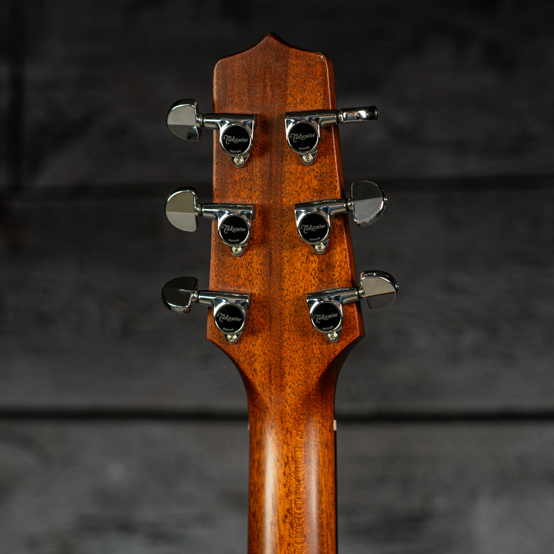 Takamine ETN40C